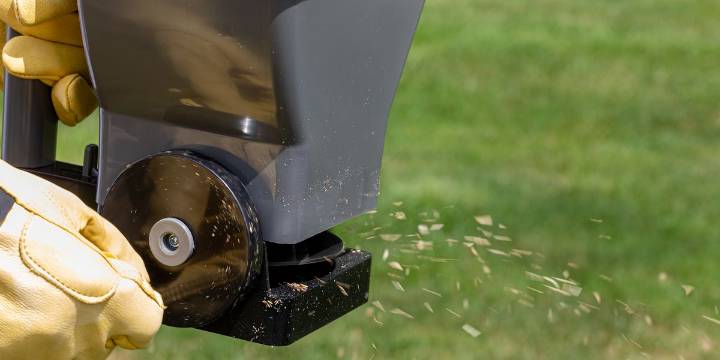 The Best Time to Seed Your Lawn Might Be in the Fall