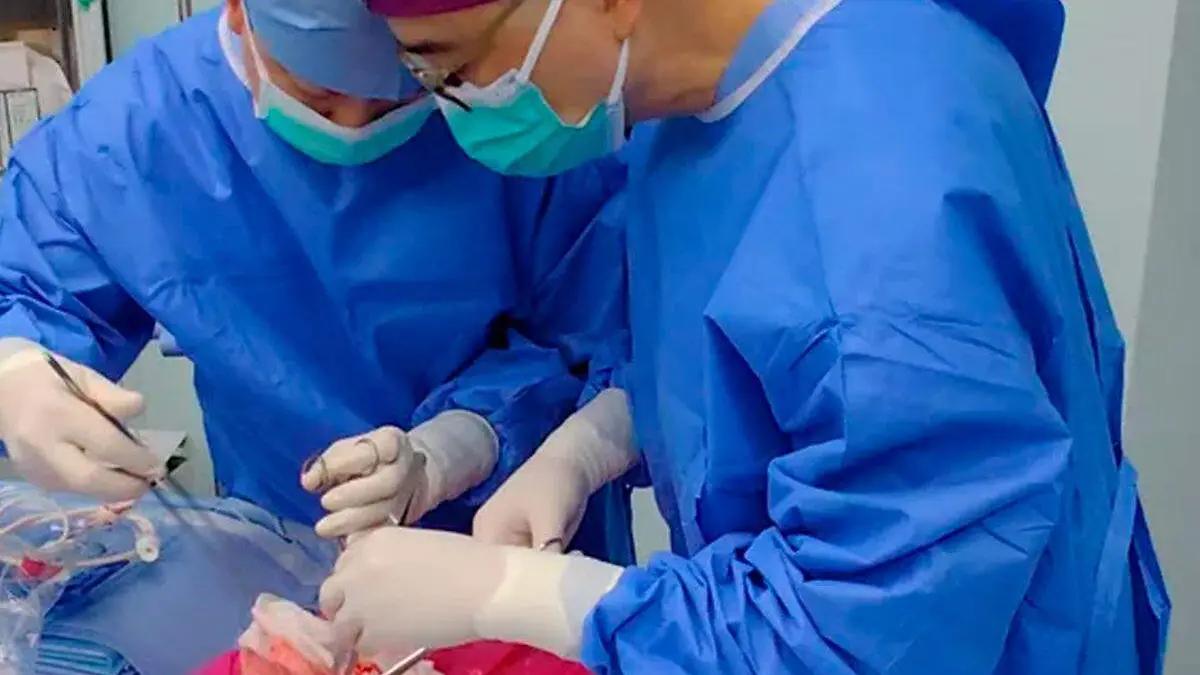 China completa primer trasplante de pulmón de cerdo a un humano