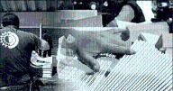 Felicita Sheinbaum a deportistas mexicanos que compitieron en Juegos Panamericanos Junior