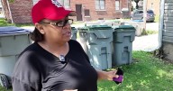 Milwaukee flood victims can replace lost FoodShare, Summer EBT benefits