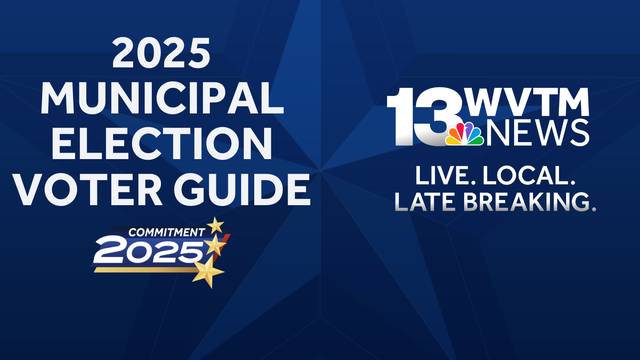 Voter Guide: 2025 Alabama municipal elections