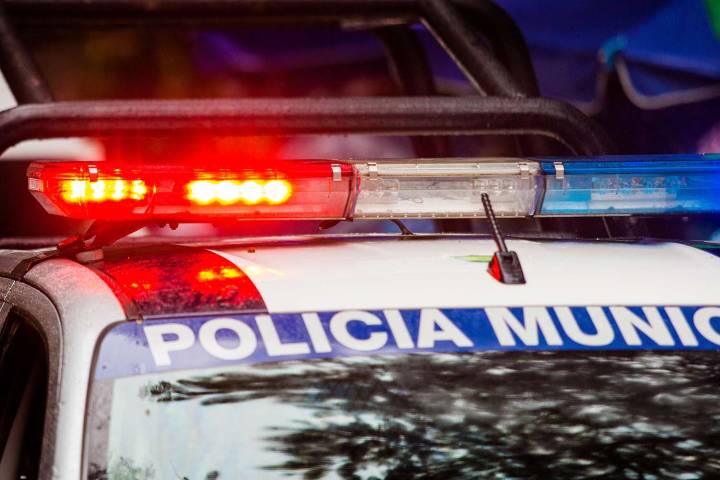 6 Severed Human Heads Found Along a Road in Mexico