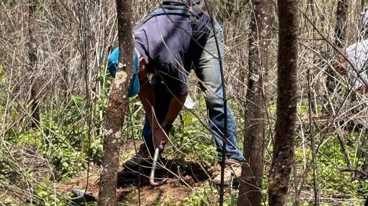 Luchas pequeñas a favor del ambiente son importantes, hay que visibilizarlas, señalan activistas de las Altas Montañas