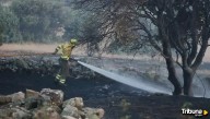 Numerosos medios, incluidos tres aéreos, trabajan un fuego declarado en la localidad salmantina de Moronta