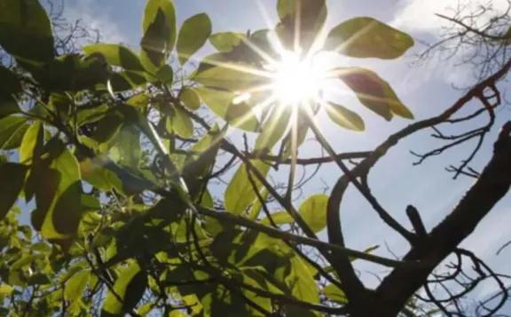 Sol y aire fresco marcan el clima en Misiones: cambios previstos hacia el jueves