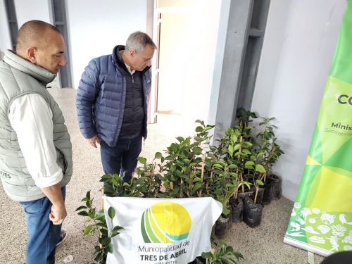 Entregaron 2.000 plantas a productores de Tres de Abril para impulsar la citricultura correntina