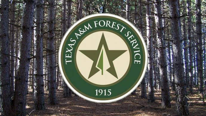 Hunters encouraged to practice wildfire safety during hunting season
