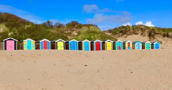 Devon beach in top five of 'most dog friendly' in Europe