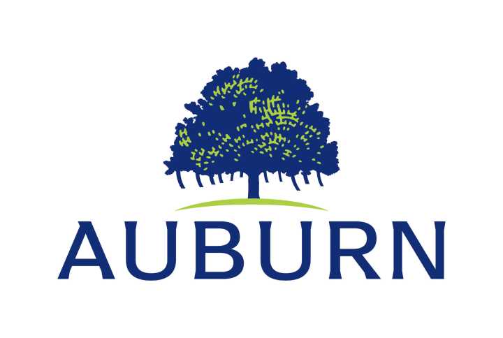 Council approves infrastructure agreement for huge development