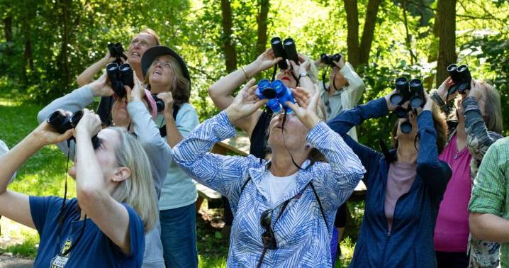 Birding with the Southern Adirondack Audubon Society
