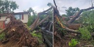 Nearly 300 without power near Airport and Chelton