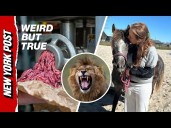 Why a 13-Year-Old Girl’s Pony Was Fed to The Lions