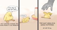 Artist Created 15 New Comics To Expose The Sad Reality Of Many Animals On This Planet