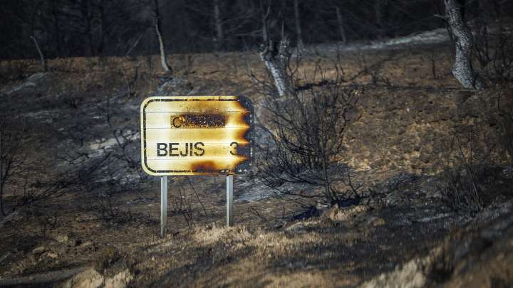 La Generalitat invierte 7,7 millones de euros para restaurar las 32.000 hectáreas afectadas por elincendio de Bejís en 2022
