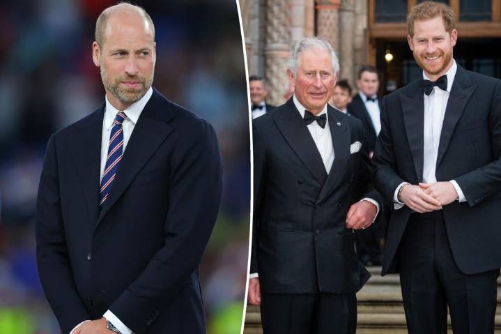 Prince Harry set to reunite with King Charles as Prince William rejects reconciliation: report