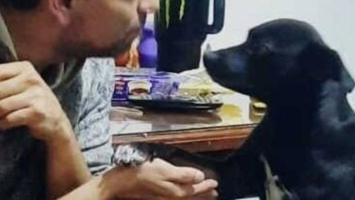 Buscan identificar a los responsables del envenenamiento masivo de mascotas en Las Cañitas