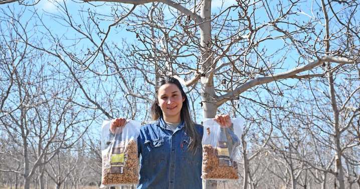 La producción de almendras y nueces en Campo Grande tiene valor agregado