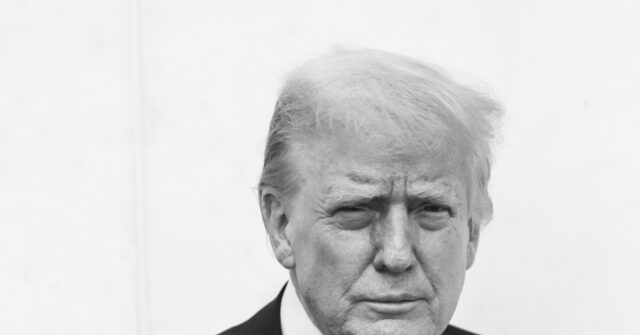 Trump Calls for George Soros and Son Alex to Face RICO Charges