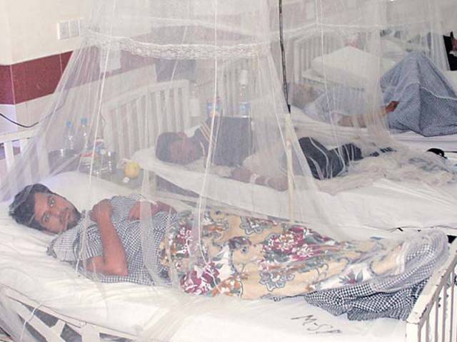 Dengue cases rise faster than last year in Pindi