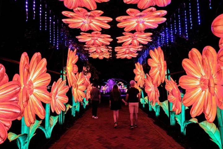 Fun things to do in Philly this weekend