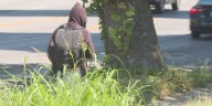 Annual ‘Street Survey’ aims to assess Lexington’s homeless population