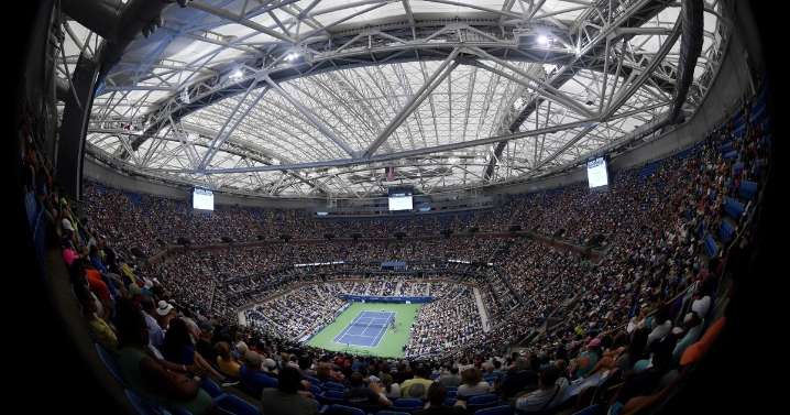 US Open 'terrorised' by sex-crazed invasive bugs as fans told to call for help