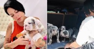 La Diosa defiende la venta de cachorros ante críticas en redes