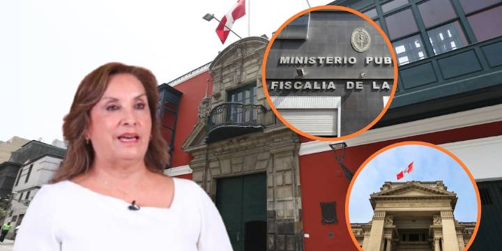 Dina Boluarte es intocable: Expertos discrepan sobre el fallo del TC que blinda a la presidenta