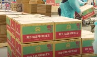 The frozen Raspberry Capital of the United States is in WA.