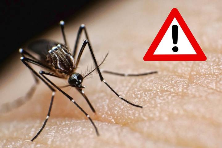 NJ patient with malaria ‘possibly&CloseCurlyQuote; infected by local mosquito