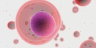 House bill looks to ban mRNA vaccines