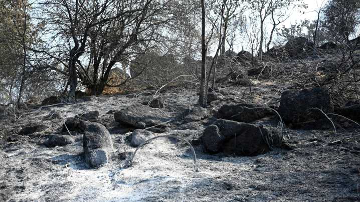 En España seguen activos 21 incendios graves a pesar da baixada das temperaturas