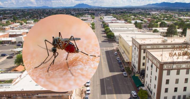 Douglas alerta presencia de mosquitos letales con Virus del Nilo