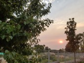 Fotonoticia | El sol se deja ver entre el humo