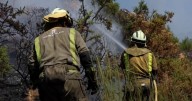 Castilla y León en llamas: los incendios forestales desbordan El Bierzo y otras zonas de la comunidad