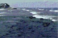 Man Drowns in Lake Michigan at Marquette Park Beach