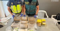 Los agentes hallaron en casa de uno de los detenidos de la trama más de 1,2 millones de euros y 11 kilos de cocaína