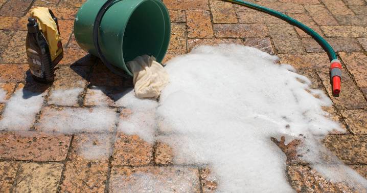 UK householders told to use washing powder on driveways