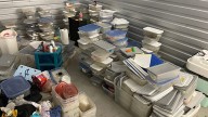 Over 100 fat-tailed geckos found abandoned in Central Florida storage unit
