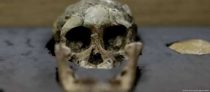 Nuevos fósiles revelan la coexistencia de Australopithecus y Homo en Etiopía