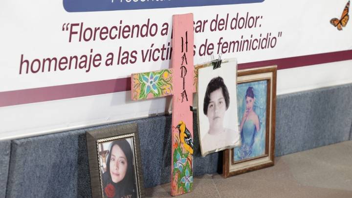 “Floreciendo a pesar del dolor": el libro que documenta cómo el caso Mariana Lima transformó la justicia contra el feminicidio en México