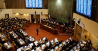 Proyectos “populares”: creatividad legislativa brota en año electoral