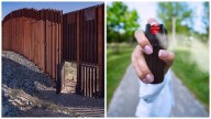 Sentenciaron a migrante mexicana por rociar con gas pimienta a agente