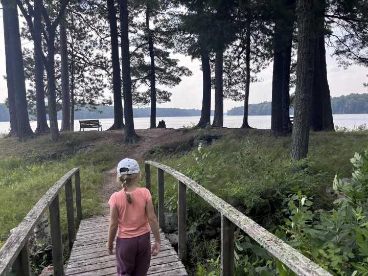 Local View: Sorry, but you can go home again
