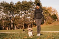How to protect your pets from wildfire smoke, according to experts