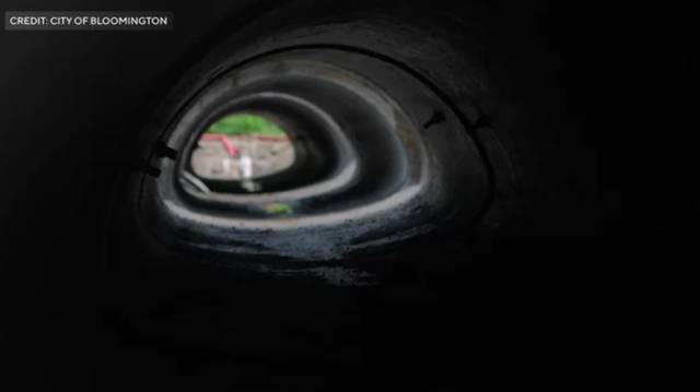 Minnesota town builds turtle tunnel to reduce road deaths