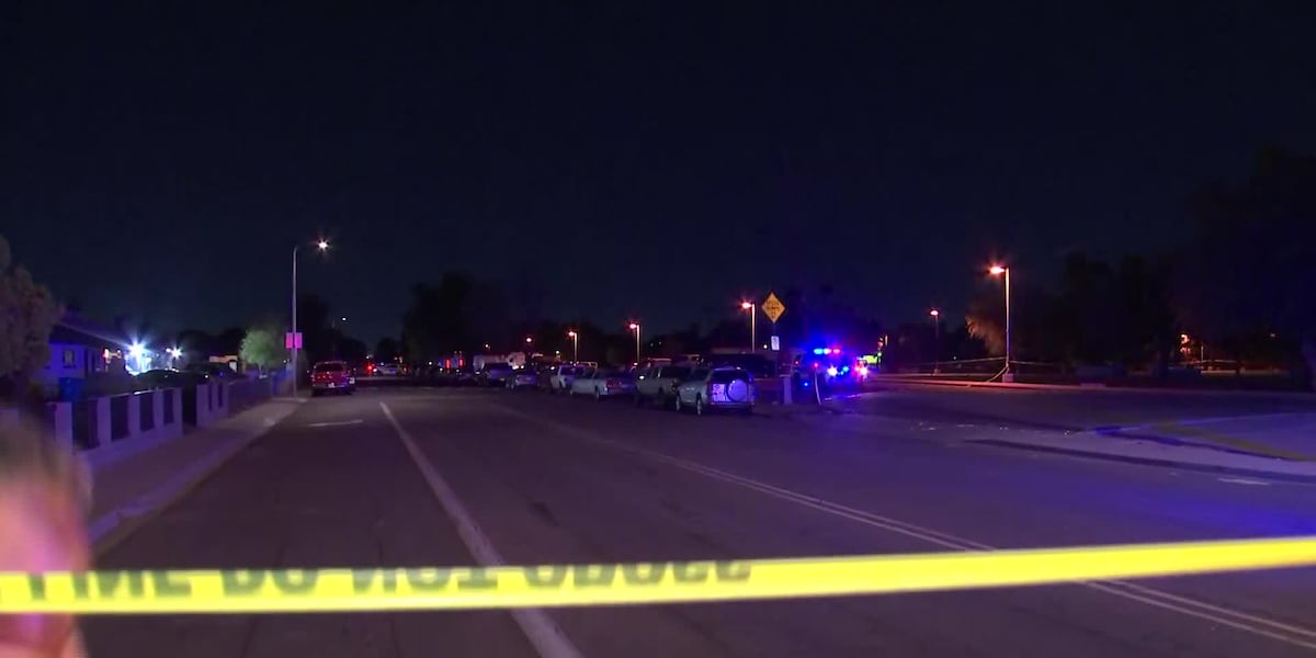 Man with knife dies after police shooting at south Phoenix park
