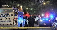 Video Rolls as Teens Murder 14-Year-Old on Bronx Playground