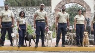 Prevendrán 14 binomios caninos plagas y enfermedades agropecuarias