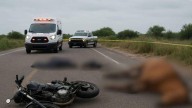 Muere bebé de un año y dos mujeres resultan heridas tras estrellar su motocicleta contra un caballo, en Sinaloa de Leyva